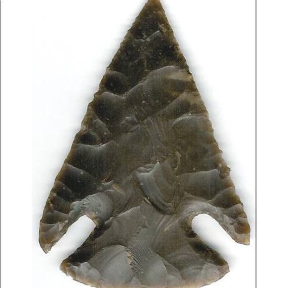 Meet your Posher, Colton - Picture 1 of 1